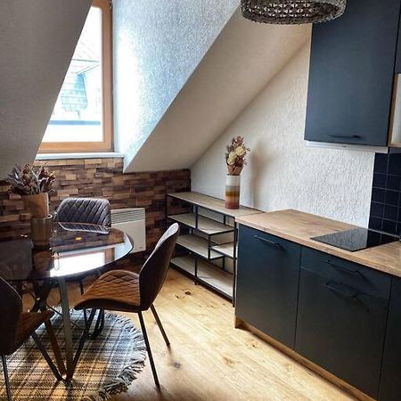 Cozy And Warm Apartment In The Heart Of Karlsbad Екстер'єр фото