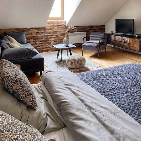 Cozy And Warm Apartment In The Heart Of Karlsbad Екстер'єр фото